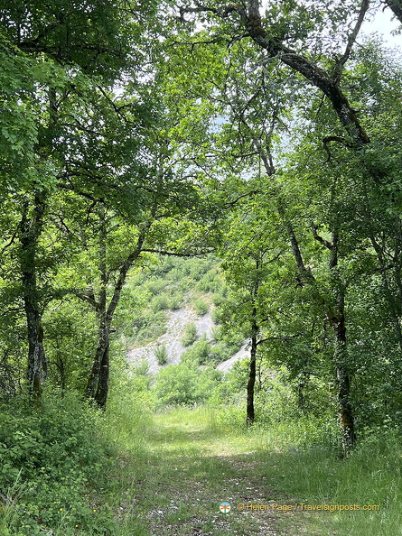 Rocamadour IMG 0801 (420访问量) Rocamadour IMG 0801