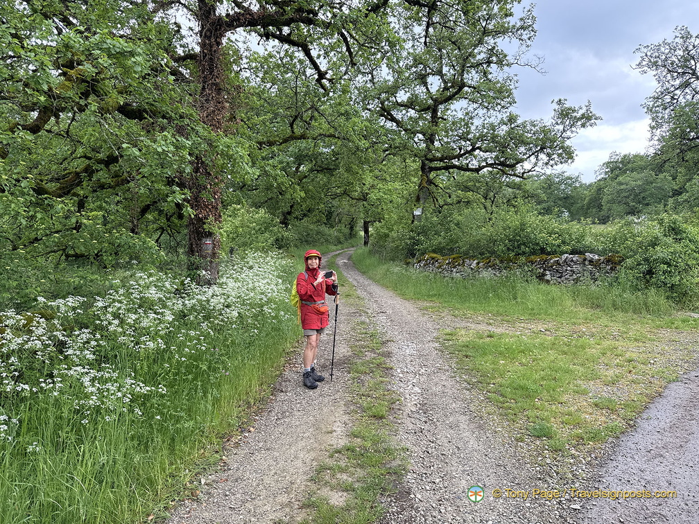 Rocamadour IMG 0820 (567 відвідувань) Rocamadour IMG 0820