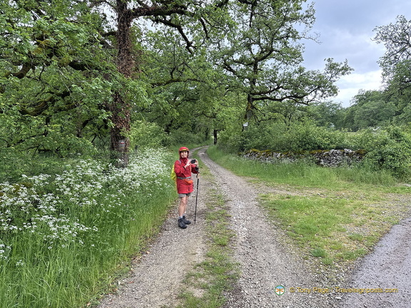Rocamadour IMG 0820 (567 visits) Rocamadour IMG 0820