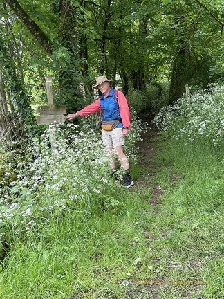 Rocamadour IMG 0761 (499 visits) Rocamadour IMG 0761