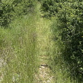 Martel-Sarrazac IMG 0883 (381 visits) Martel-Sarrazac IMG 0883