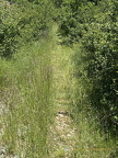 Martel-Sarrazac IMG 0883