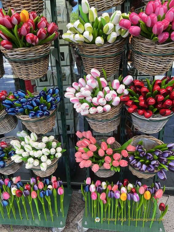 Keukenhof IMG 6006