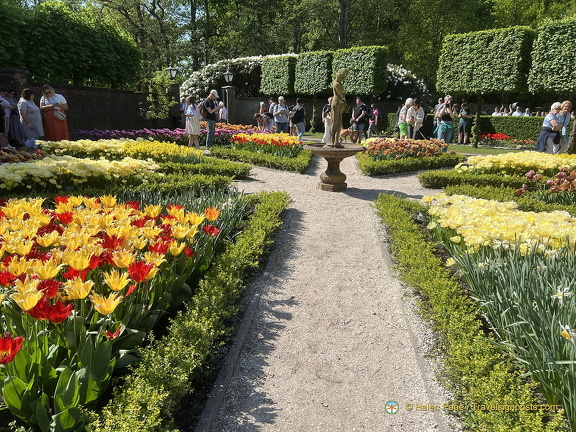 Keukenhof IMG 6017 (被訪問過 318 次) Keukenhof IMG 6017