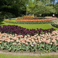 Keukenhof IMG 6033 (309 gweladenn) Keukenhof IMG 6033