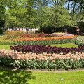 Keukenhof IMG 6034 (311 gweladenn) Keukenhof IMG 6034