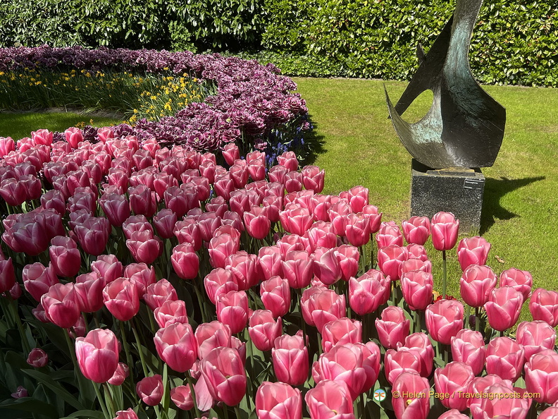Keukenhof IMG 6035 (292 visits) Keukenhof IMG 6035