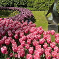 Keukenhof IMG 6035 (293 gweladenn) Keukenhof IMG 6035