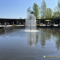 Keukenhof IMG 6040 (293 odwiedzin) Keukenhof IMG 6040