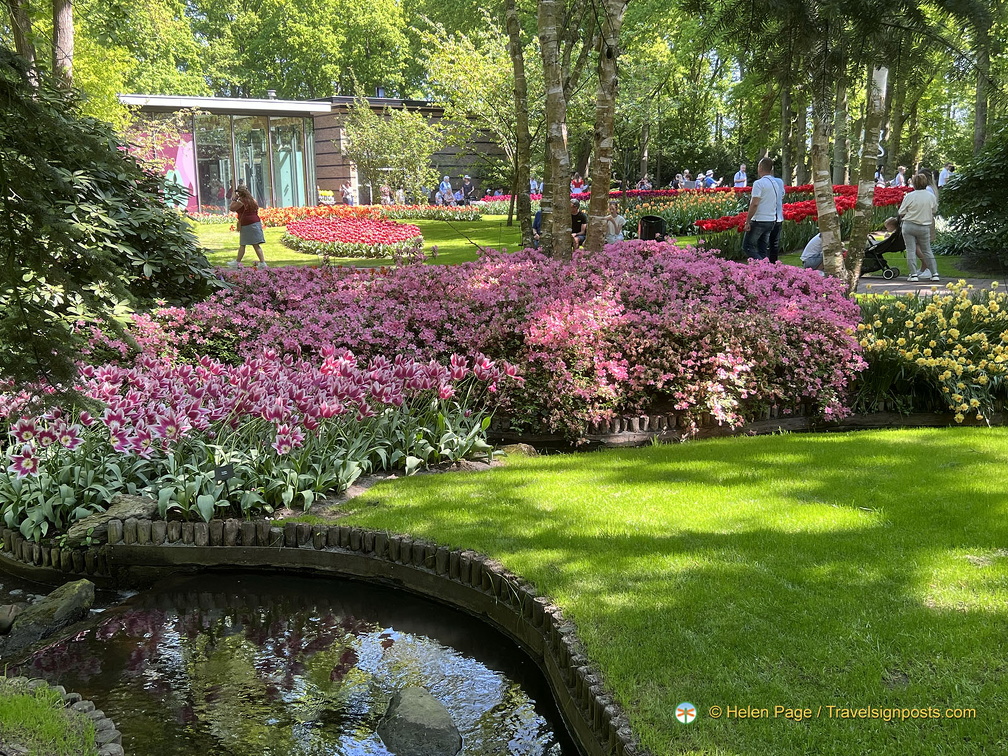 Keukenhof IMG 6054 (被訪問過 292 次) Keukenhof IMG 6054