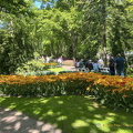 Keukenhof IMG 6056 (285 visits) Keukenhof IMG 6056