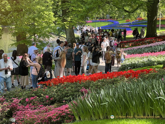 Keukenhof IMG 6061 (285 visits) Keukenhof IMG 6061