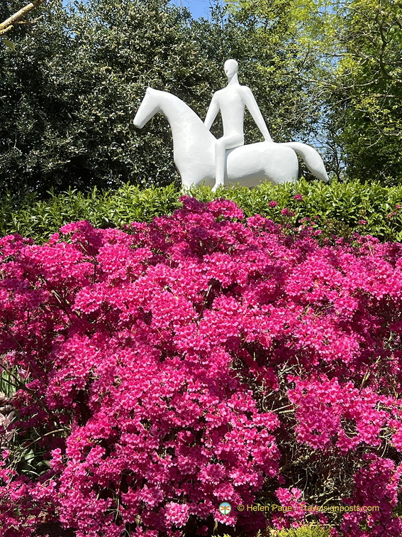 Keukenhof IMG 6066 (286 visits) Keukenhof IMG 6066