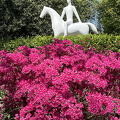 Keukenhof IMG 6066 (283 visits) Keukenhof IMG 6066