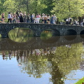 Keukenhof IMG 6067 (278 visits) Keukenhof IMG 6067
