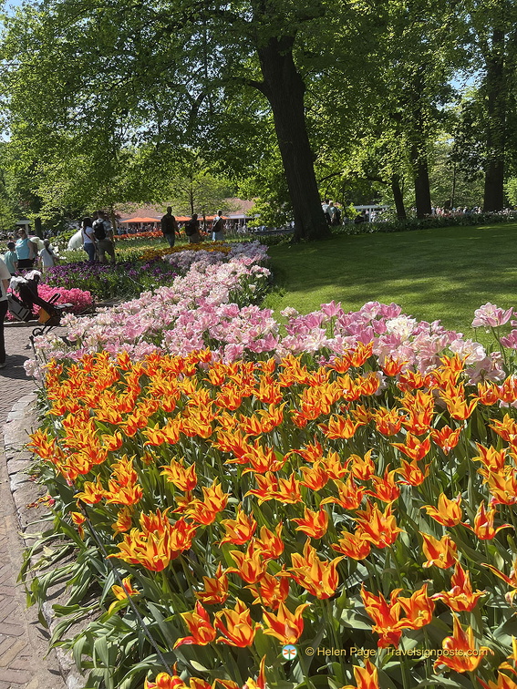 Keukenhof IMG 6070 (295 visits) Keukenhof IMG 6070