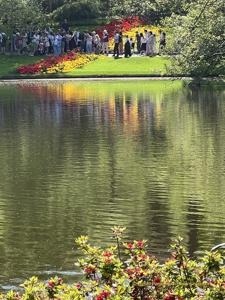 Keukenhof IMG 6071 (293 visits) Keukenhof IMG 6071