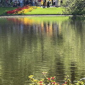Keukenhof IMG 6071 (291 visits) Keukenhof IMG 6071