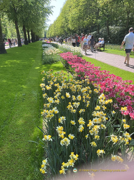 Keukenhof_IMG_6078.jpg