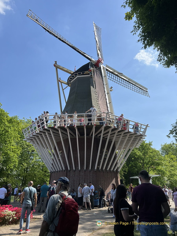 Keukenhof IMG 6092 (320 visites) Keukenhof IMG 6092