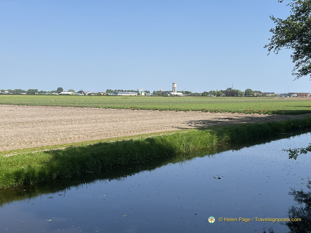 Keukenhof IMG 6094 (317 visites) Keukenhof IMG 6094