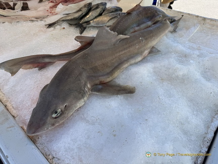 Brive-la-Gaillarde IMG 1176