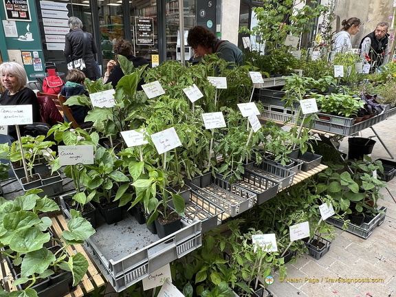 Perigueux IMG 6898 (310 visits) Perigueux IMG 6898