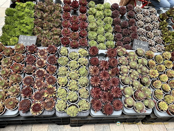 Perigueux IMG 6900 (332 visits) Perigueux IMG 6900