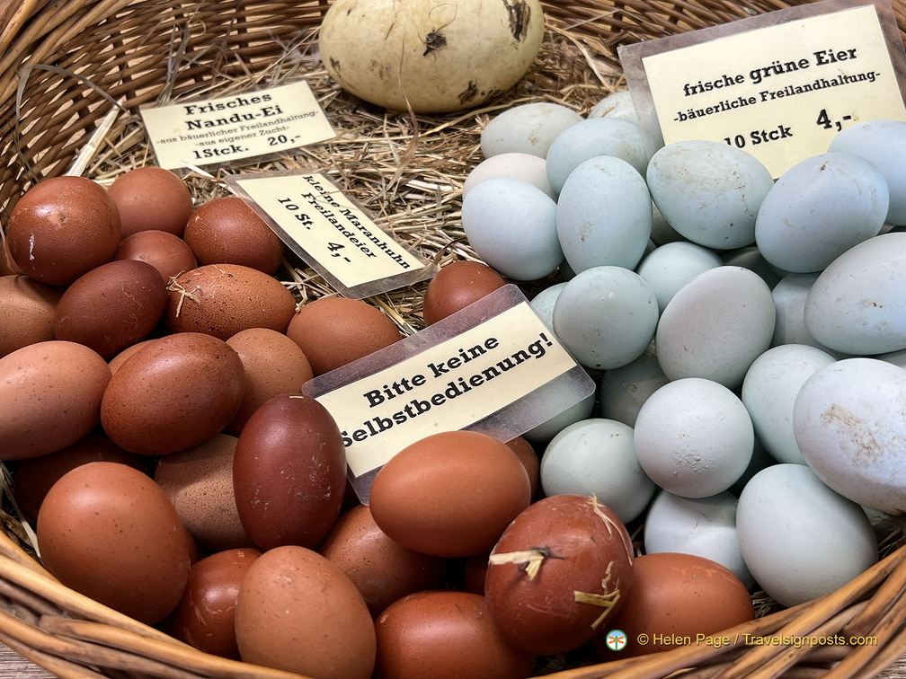 Frankfurt IMG 7173 (264 visits) Frankfurt IMG 7173