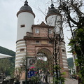Heidelberg IMG 7185 (247 visits) Heidelberg IMG 7185