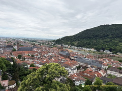 Heidelberg IMG 1368