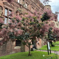 Heidelberg IMG 1370