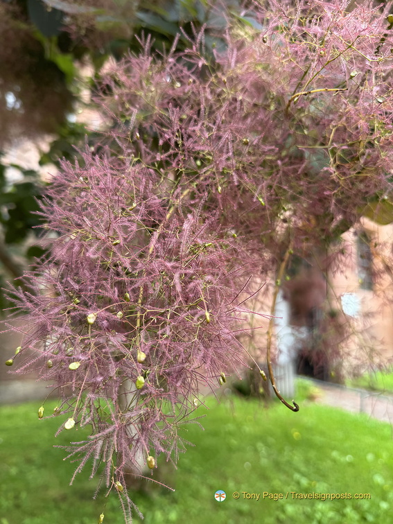 Heidelberg IMG 1371 (308 bisita) Heidelberg IMG 1371