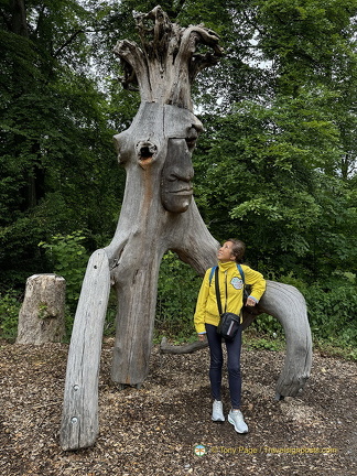 Heidelberg IMG 1423 (312 visitas) Heidelberg IMG 1423