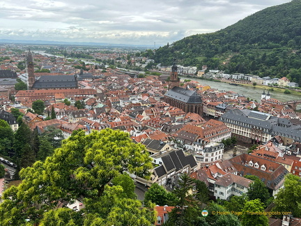 Heidelberg IMG 7318