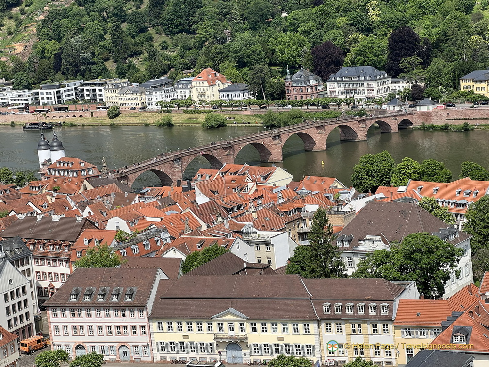 Heidelberg IMG 7342