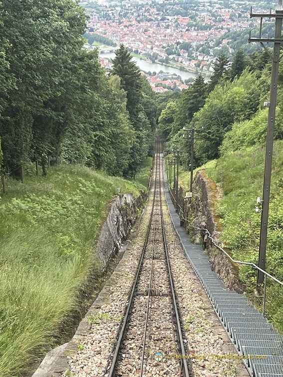 Heidelberg IMG 7382 (335 visits) Heidelberg IMG 7382