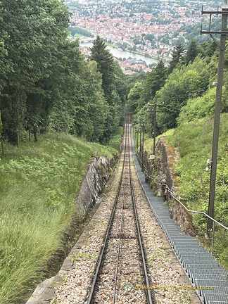 Heidelberg IMG 7382 (335 посещения) Heidelberg IMG 7382