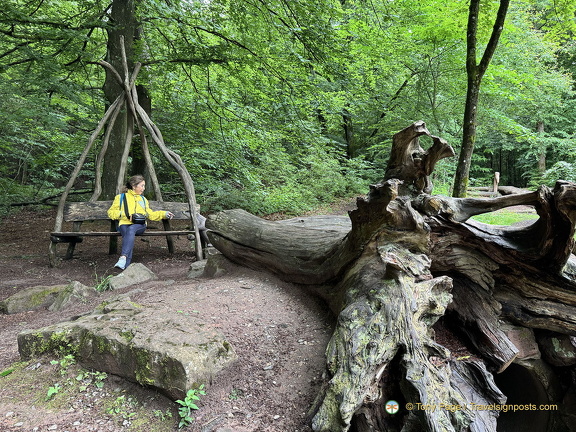 Heidelberg IMG 1429 (320 visitas) Heidelberg IMG 1429