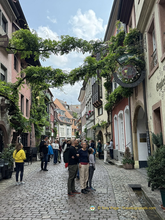 Freiburg IMG 1537 (282 visits) Freiburg IMG 1537