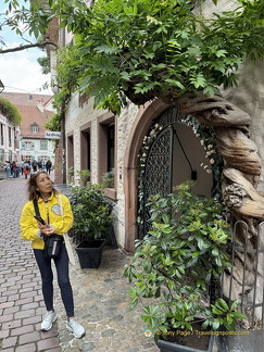 Freiburg IMG 1539