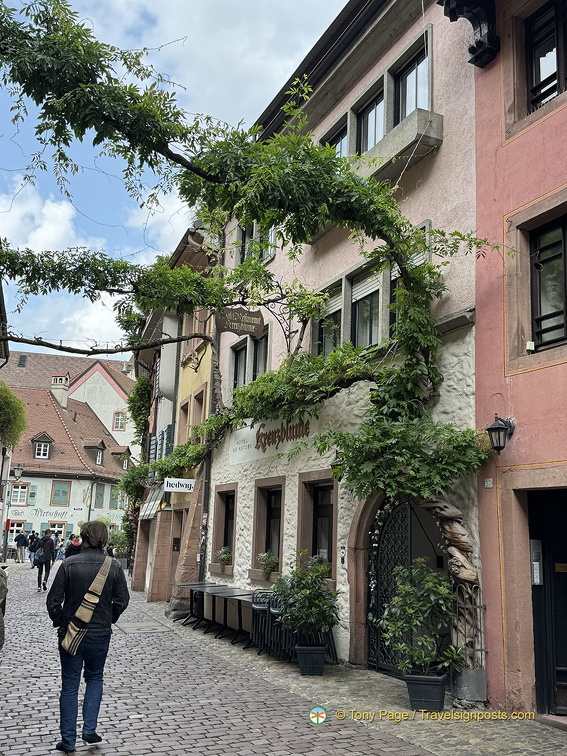 Freiburg IMG 1540 (277 visits) Freiburg IMG 1540