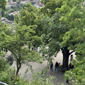 Freiburg IMG 1554 (248 visites) Freiburg IMG 1554