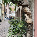 Freiburg IMG 7519 (310 visits) Freiburg IMG 7519