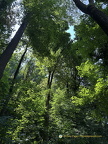 Freiburg IMG 1581
