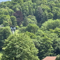 Freiburg IMG 1610 (286 visits) Freiburg IMG 1610
