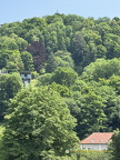 Freiburg IMG 1610