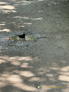 Freiburg IMG 1599