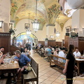 Hofbrauhaus 2025 IMG 8860 (198 visits) Hofbrauhaus 2025 IMG 8860