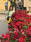 Sarajevo IMG 1941